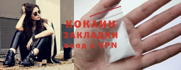 индика Гусев