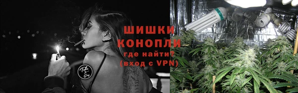 индика Гусев