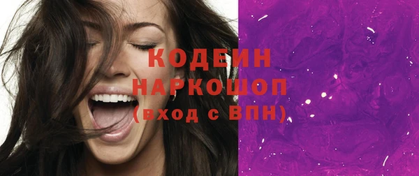 дживик Гусь-Хрустальный