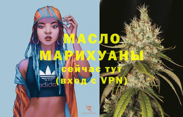 дживик Гусь-Хрустальный