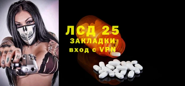 индика Гусев