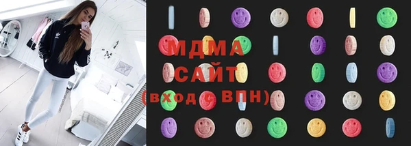 индика Гусев