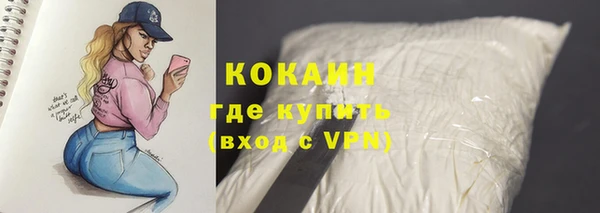 индика Гусев