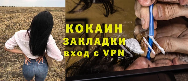 дживик Гусь-Хрустальный