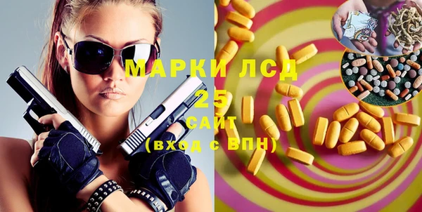 индика Гусев