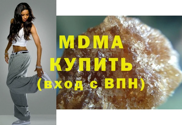индика Гусев