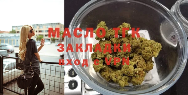 индика Гусев
