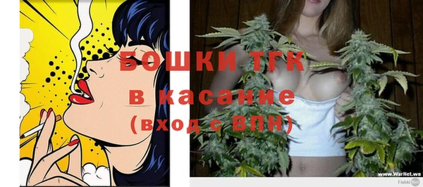 индика Гусев
