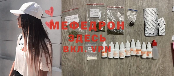 индика Гусев