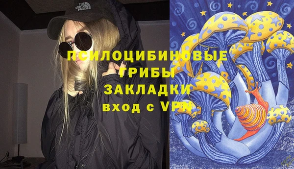 твердый Новозыбков