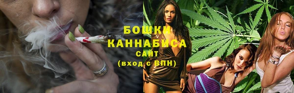 индика Гусев
