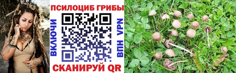 Псилоцибиновые грибы GOLDEN TEACHER  Пестово 